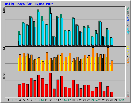 Daily usage for August 2025