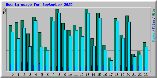 Hourly usage for September 2025
