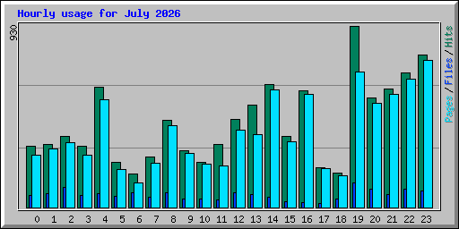 Hourly usage for July 2026